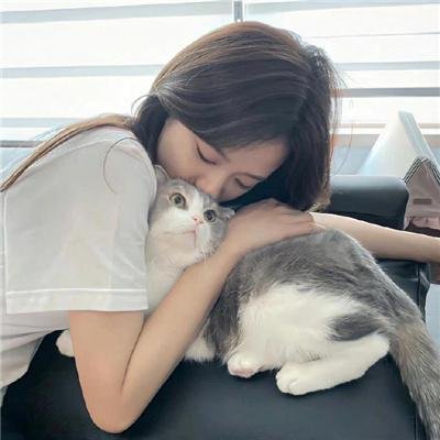 金牌贱猫：重新出击